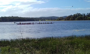 Cooroy Dragon Boat Race 06 May 2018