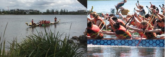 Dragon Boat Racing