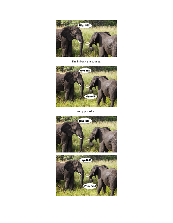 Do Elephants Ever Forget A Name